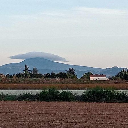 Chambre D'Hotes Les Garrigues Piolenc Bagian luar foto