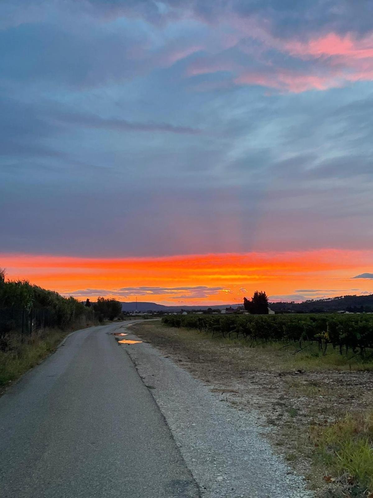 Chambre D'Hotes Les Garrigues Piolenc Bagian luar foto